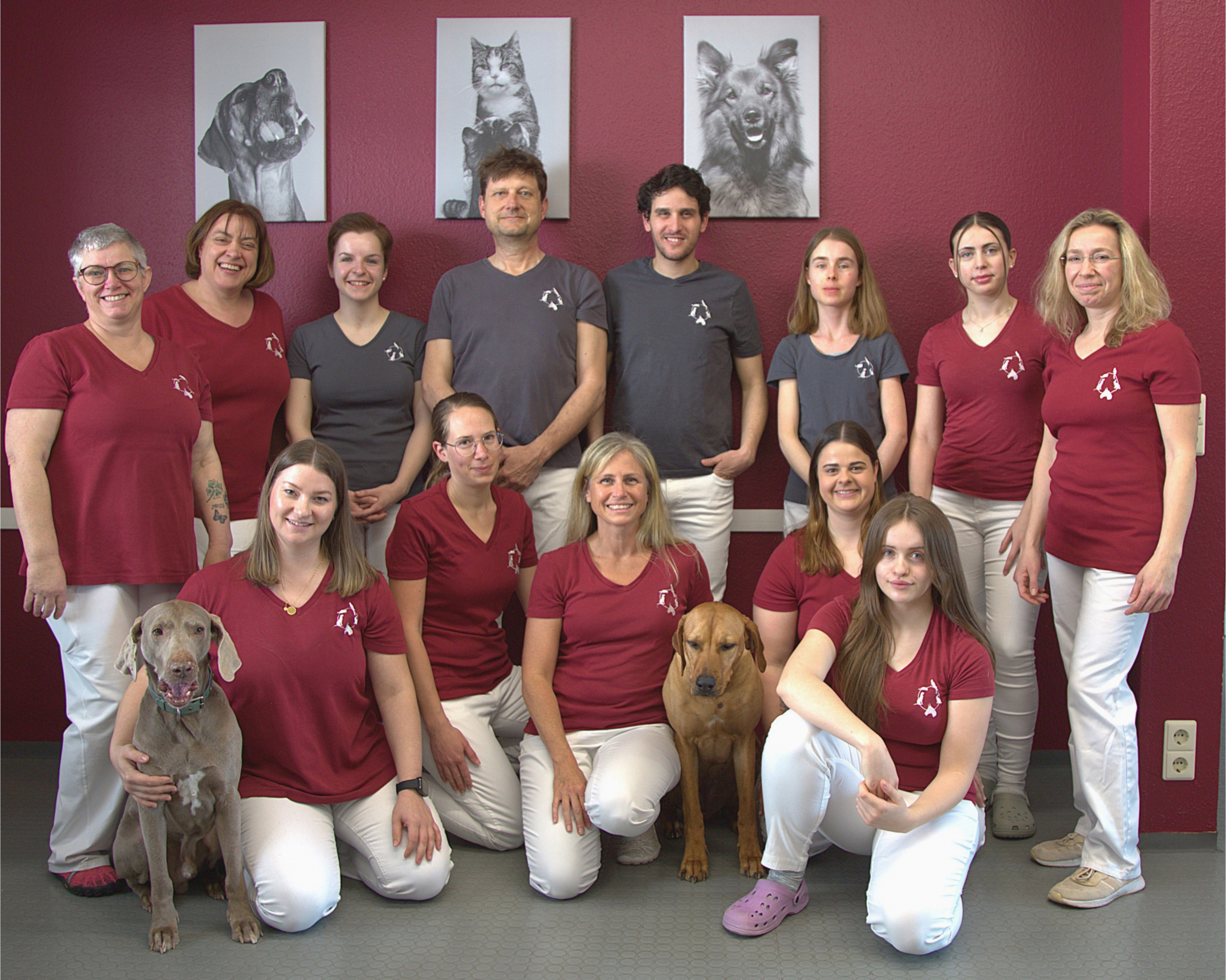 Team für Homepage